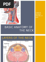 Basic Anatomy of The Neck