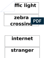 Traffic Light Zebra Crossing