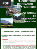 Corredor Bioceánico Norpatagónico - Presentación Aguilar