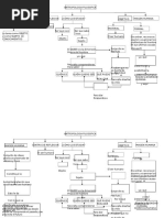 Antropologia Filosofica Esquema Introduccion