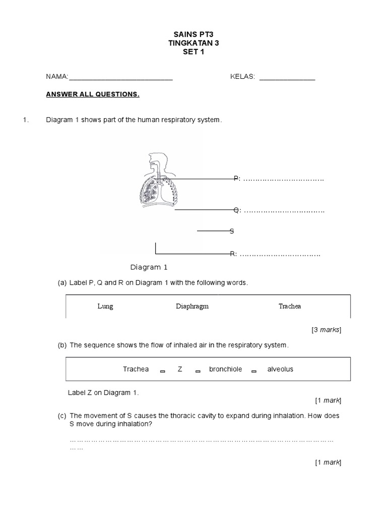 Answer All Questions.: Sains Pt3 Tingkatan 3 Set 1 | PDF | Respiratory ...