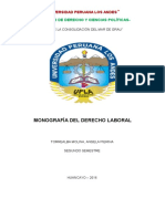 Monografia de Derecho Laboral