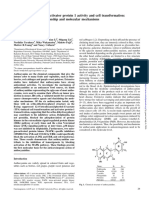 Anthocyanidins Inhibit Activator Protein 1 Activity and Cell Transformation: Structure Activity Relationship and Molecular Mechanisms