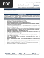 Identificación de Puesto - Jefe de HSE