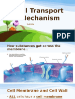 p3 - Cellular Transport Mechanism