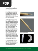 Queen Rearing Basics