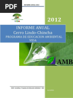 Informe Anual Pea Vida Cerrolindo