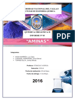 5to Informe AMINAS - Docx12