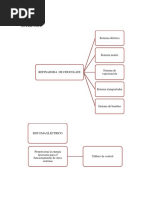 Matriz Amfe PDF