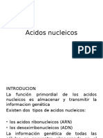 Acidos Nucleicos