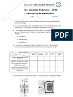 Evaluación Transp de MMB