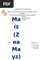 Generalidades Sobre El Maiz