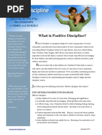 What Is Positive Discipline PDF