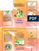 Consumo Responsable PDF