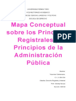 Mapa Conceptual Sobre Los Principios Registrales y Principios de La Administracion Publica