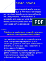 Biologia PPT - Expressão Gênica