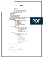 Agentes de Deterioro en Arquitetura