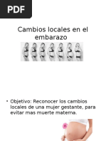 Cambios Locales 1