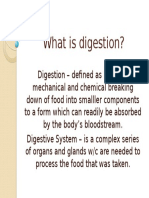 What Is Digestion