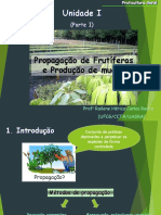 Propagação de Fruteiras