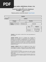 Alquimia - Modos, Subdivisiones, Formas y Vías