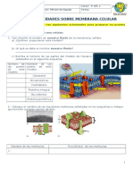 Actividades Célula y Membrana