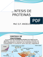 Sesion 3 Sintesis de Proteinas