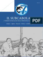 Il Subcabolario