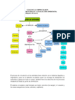 Circulacion Invertebrados