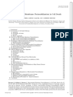 Mitochondrial Membrane Permeabilization