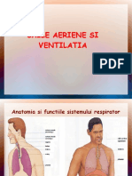 Caile Aeriene Si Ventilatia - Odp