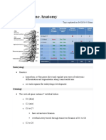 Cervical Spine Anatomy