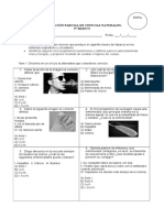 Prueba Quinto Salud e Higiene