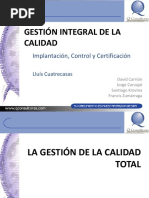 Gestion Integral de Calidad PDF