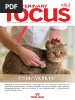 Feline Medicine 1