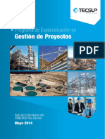 Gestion de Proyectos