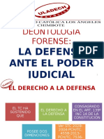 La Defensa Ante El Poder Judicial