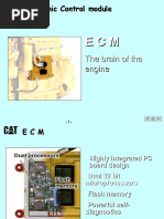 EUI Fuel System