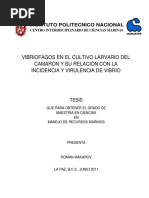 Vibriofagos en El Cultivo Larvario Del Camaron y Su Relacion Con La Incidencia y Virulencia Del Vibrio