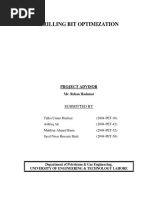 Drilling Bit Optimisation PDF