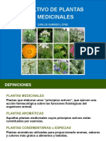 Plantas Medicinales