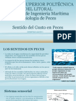 Sentido Del Gusto en Peces Teleósteos