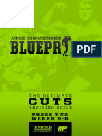 Arnoldblueprint Cuts Phase2 PDF