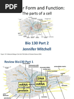 BIO130 Sec2 - Lec1and2 - 1ppt