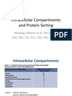 Intracellular Compartments and Protein Sorting: Reading: Alberts Et Al. 5th Edition 695-704, 721-727, 766-769, 779-783