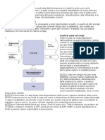 Iperuricemia e Gotta Corretta