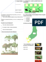 Evaluación de Biología Selva Misionera 2017