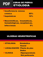 Ulceras de Pierna