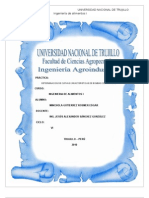 Informe Curvas de Bombas Centrifugas