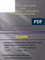 ANATOMI Dan PATOFISIOLOGI